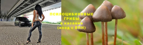 mdpv Медвежьегорск