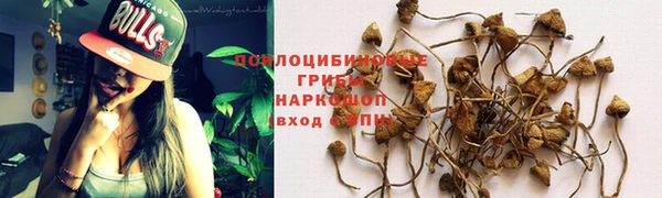 mdpv Медвежьегорск