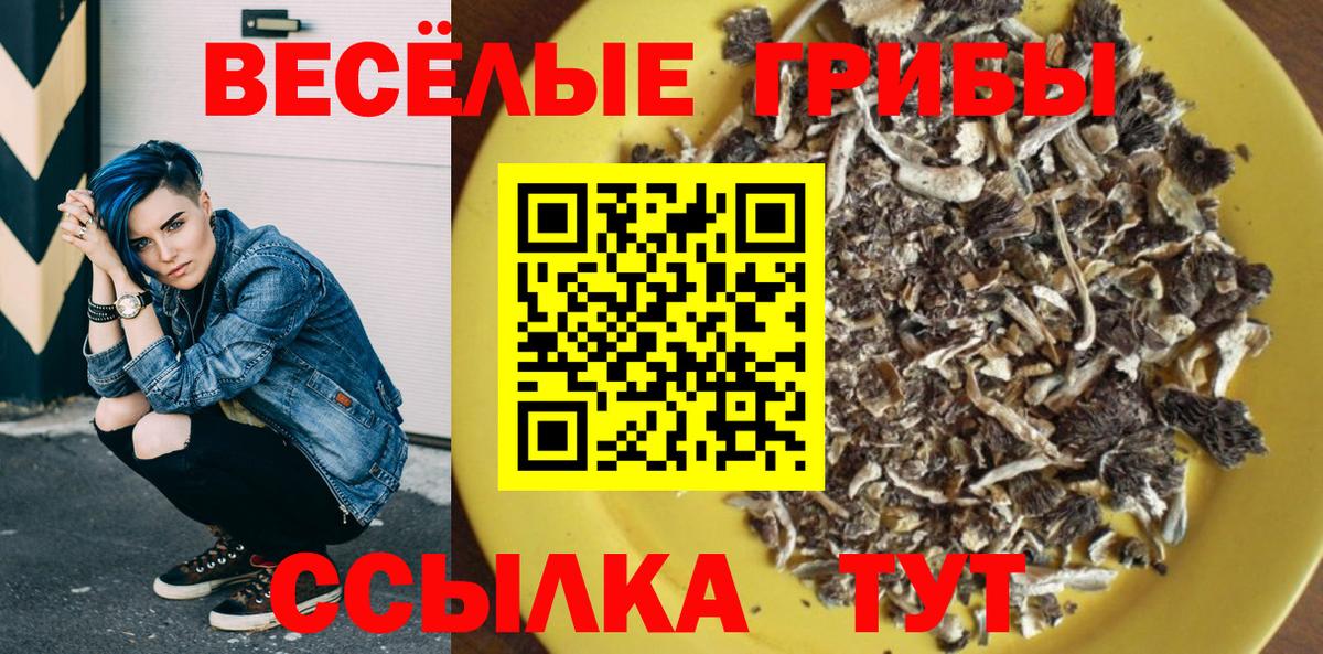 Нижний Тагил  Галлюциногенные грибы Cubensis  Вход с VPN 