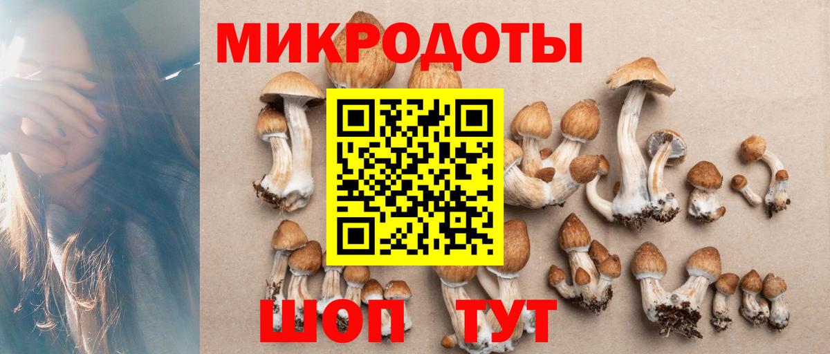 Псилоцибиновые грибы мухоморы Нижний Тагил
